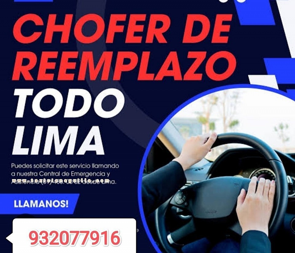 Chofer de reemplazo